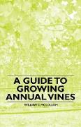 A Guide to Growing Annual Vines