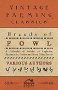 Breeds of Fowl - A Collection of Articles on Leghorns, Bantams, the Cochin and Many Other Breeds
