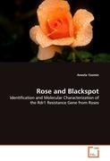 Rose and Blackspot