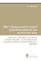 HSV-1 Glykoprotein B sortiert HLA-DR Moleküle in den exosomalen Weg