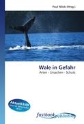 Wale in Gefahr