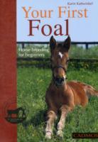 Your First Foal: Horse Breeding for Beginners