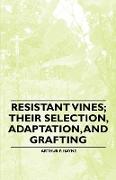 Resistant Vines, Their Selection, Adaptation, and Grafting