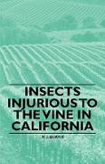 Insects Injurious to the Vine in California