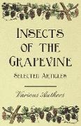 Insects of the Grapevine - Selected Articles