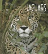 Jaguars