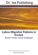Labour Migration Patterns in Europe