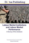Labour Market Institutions and Labour Market Performance