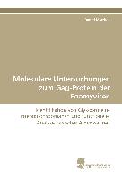 Molekulare Untersuchungen zum Gag-Protein der Foamyviren