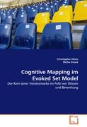Cognitive Mapping im Evoked Set Model