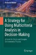 A Strategy for Using Multicriteria Analysis in Decision-Making