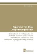 Reparatur von DNA-Doppelstrangbrüchen