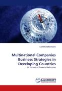 Multinational Companies Business Strategies in Developing Countries