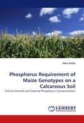 Phosphorus Requirement of Maize Genotypes on a Calcareous Soil
