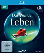 Life - Das Wunder Leben - Staffel 2