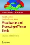 Visualization and Processing of Tensor Fields