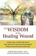 The Wisdom of the Healing Wound: A New View on Why We Hurt & How We Can Cure Even the Deepest Physical and Emotional Wounds