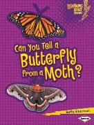 Can You Tell a Butterfly from a Moth?