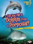 Can You Tell a Dolphin from a Porpoise?