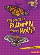 Can You Tell a Butterfly from a Moth?