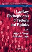 Capillary Electrophoresis of Proteins and Peptides