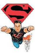 Superboy Vol. 1: Smallville Attacks