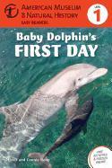 Baby Dolphin's First Day