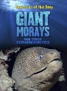 Giant Morays and Other Extraordinary Eels