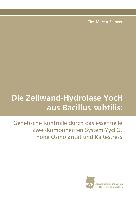 Die Zellwand-Hydrolase YocH aus Bacillus subtilis