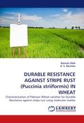 DURABLE RESISTANCE AGAINST STRIPE RUST (Puccinia striiformis) IN WHEAT