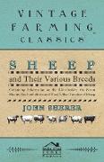 Sheep and Their Various Breeds - Containing Information on the Lincolnshire, the Saxon Merino, the Southdown and Many Other Varieties of Sheep