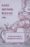 An Article about Growing Blackcurrants Including Sections on Planting, Management, Harvest and Diseases