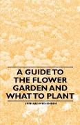 A Guide to the Flower Garden and What to Plant