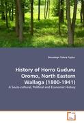 History of Horro Guduru Oromo, North Eastern Wallaga (1800-1941)