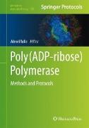 Poly(ADP-ribose) Polymerase