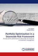 Portfolio Optimization in a Downside Risk Framework