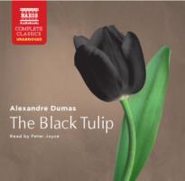 Black Tulip D