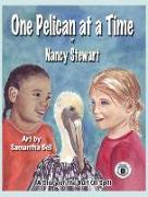 One Pelican at a Time: A Story of the Gulf Oil Spill