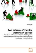 Two extremes? Flexible working in Europe