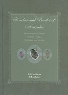 Tenebrionid Beetles of Australia: Descriptions of Tribes, Keys to Genera, Catalogue of Species