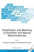 Modification and Blending of Synthetic and Natural Macromolecules: Proceedings of the NATO Advanced Study Institute on Modification and Blending of Sy