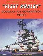 Fleet Whales Doug A-3 Skywarrior Pt. 2