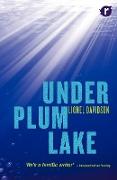 Under Plum Lake