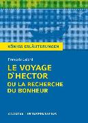 Le Voyage d'Hector ou la recherche du bonheur von François Lelord
