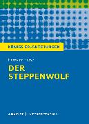 Der Steppewolf von Hermann Hesse
