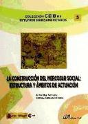 La construcción del MERCOSUR social : estructura y ámbitos de actuación