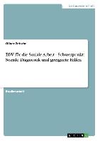 EDV für die Soziale Arbeit - Schwerpunkt: Soziale Diagnostik und geeignete Hilfen