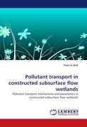 Pollutant transport in constructed subsurface flow wetlands