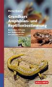 Grundkurs Amphibien- und Reptilienbestimmung