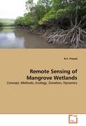 Remote Sensing of Mangrove Wetlands